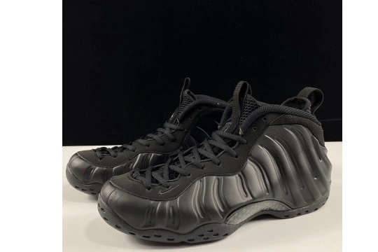 Air One Nike 314996-001 Foamposite Anthracite 0313